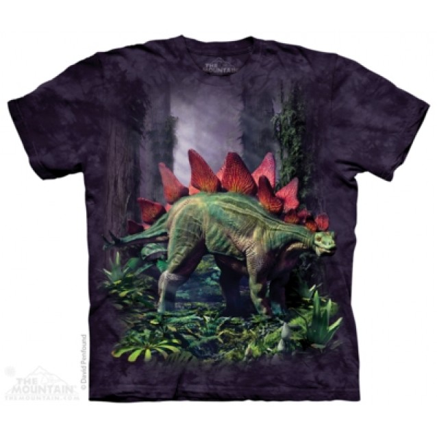 Stegosaurus - Dinosaur T Shirt by the Mountain Stegosaurus - Dinosaur T Shirt by the Mountain