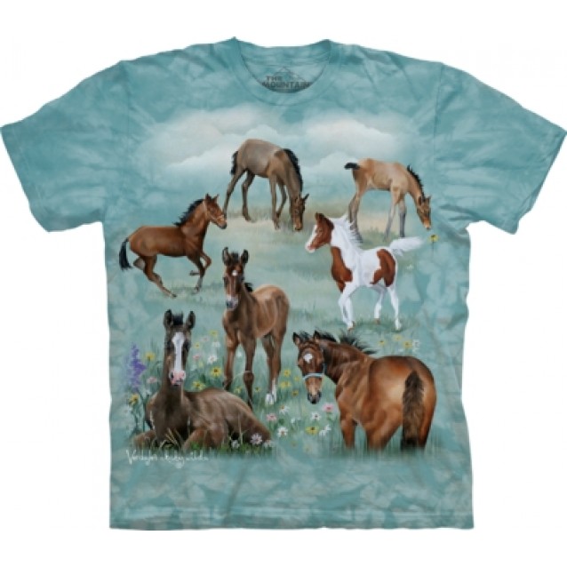 Field of Dreams - Horse T Shirt Mountain Field of Dreams - Horse T Shirt Mountain