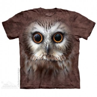 Saw Whet Owl - Big Face Bird T Shirt The Mountain