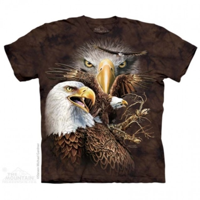 Find 14 Eagles - Hidden Images T Shirt The Mountain
