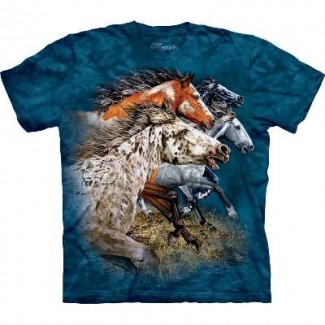 Find 13 Horses - Horse T Shirt Mountain